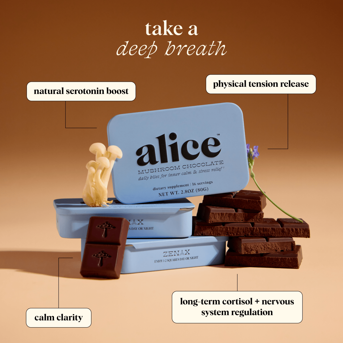 Zen-X Functional Mushroom Chocolates alice mushrooms