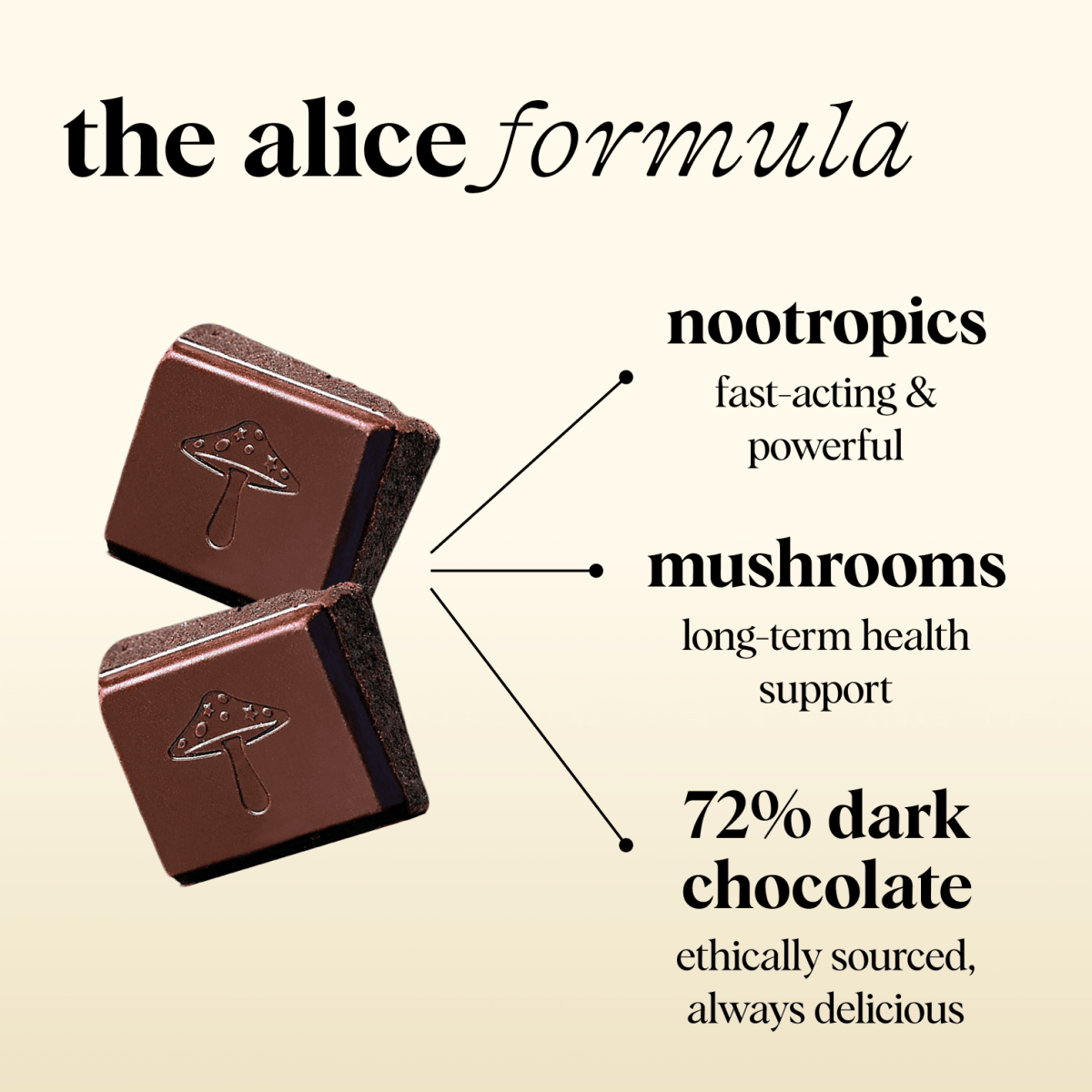 Zen-X Functional Mushroom Chocolates alice mushrooms