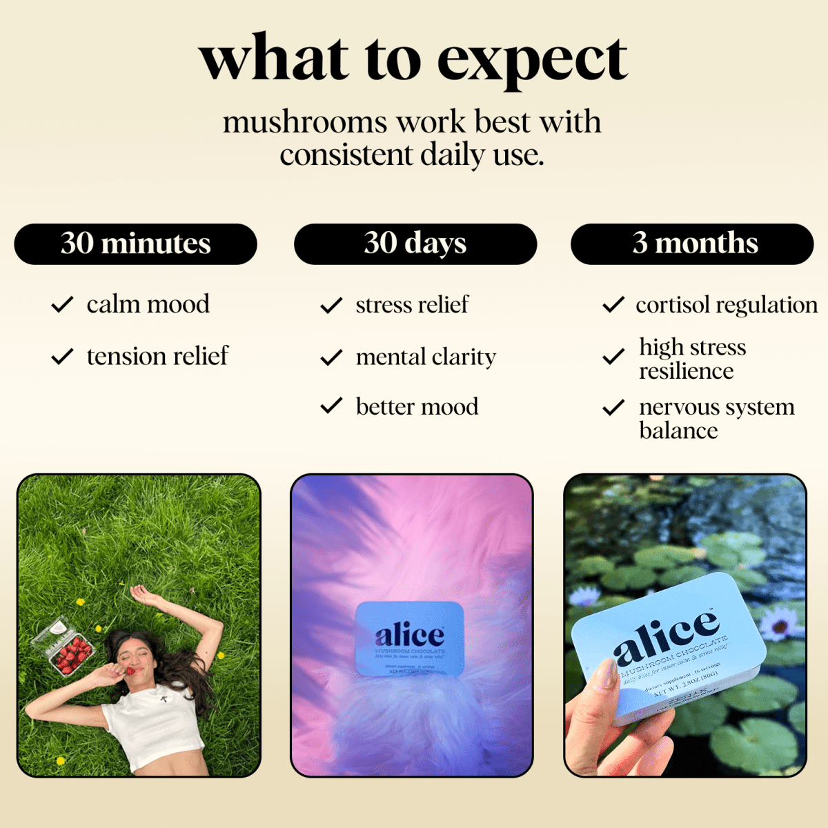 Zen-X Functional Mushroom Chocolates alice mushrooms