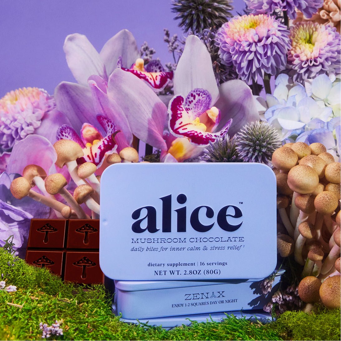 Zen-X Functional Mushroom Chocolates alice mushrooms