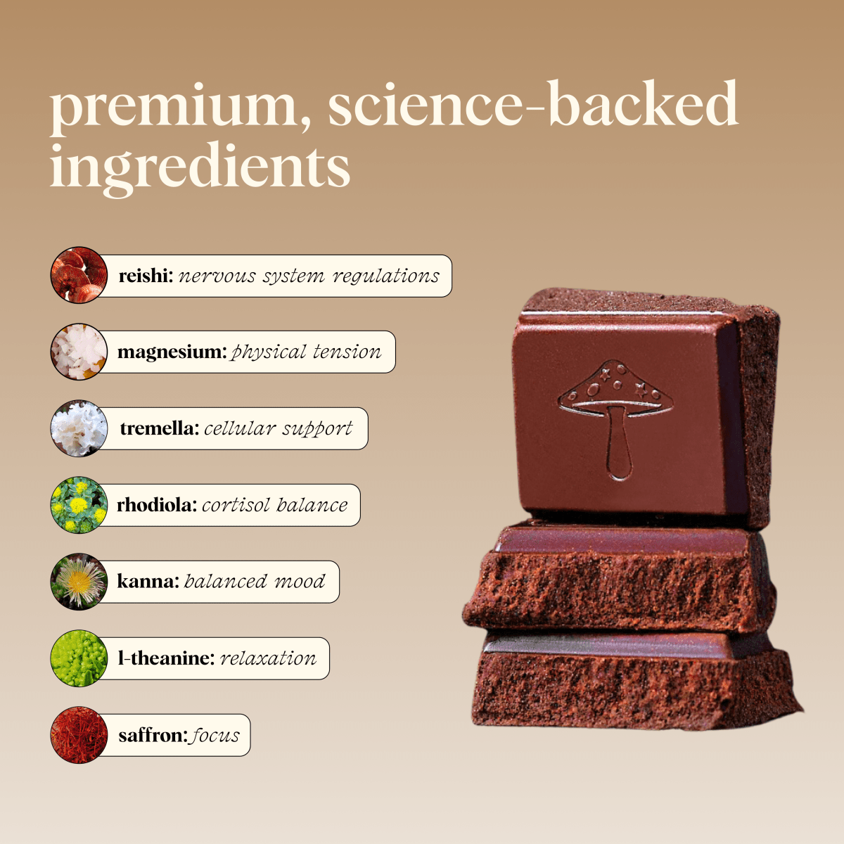 Zen-X Functional Mushroom Chocolates alice mushrooms